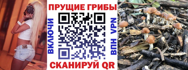 Галлюциногенные грибы Magic Shrooms Усть-Илимск